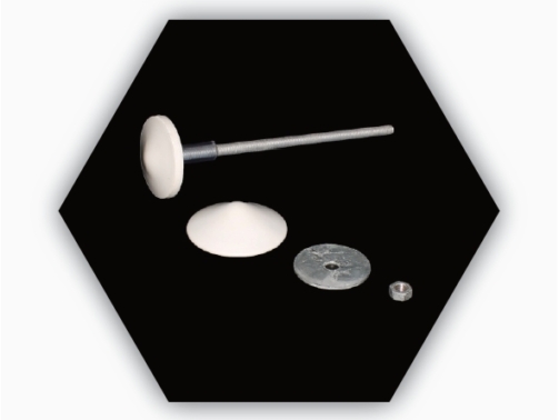 MUSHROOM BOLT 10X250MM