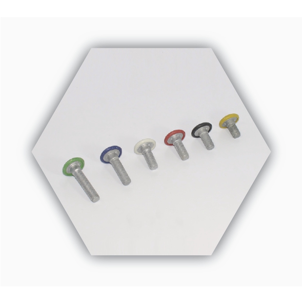 CARRIAGE BOLT 25 TO 60MM 2 CARRIAGE BOLT 25 TO 60MM